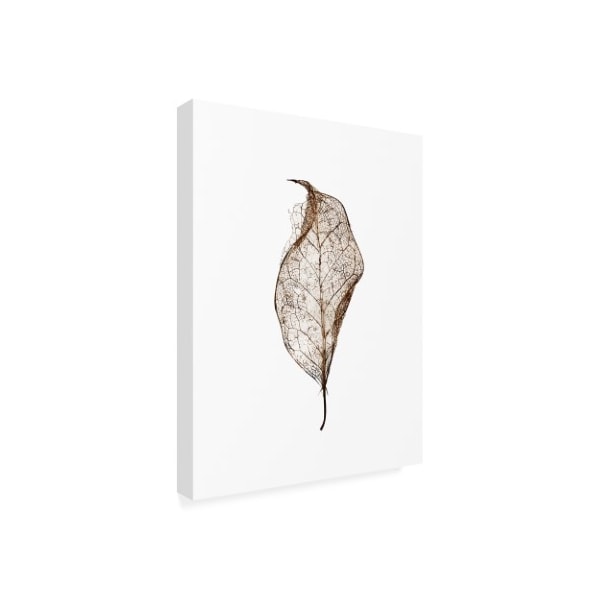 Design Fabrikken 'Leaf Fabrikken' Canvas Art,24x32